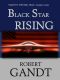 [Sam (Brick) Maxwell 06] • Black Star Rising